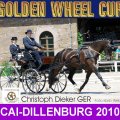 Dieker Christoph GER 2nd PLACE CAI- Dillenburg Dressage Golden Wheel CUP Single Driving 2010